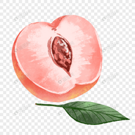 WWW,se217·COM网站APPAPP应用